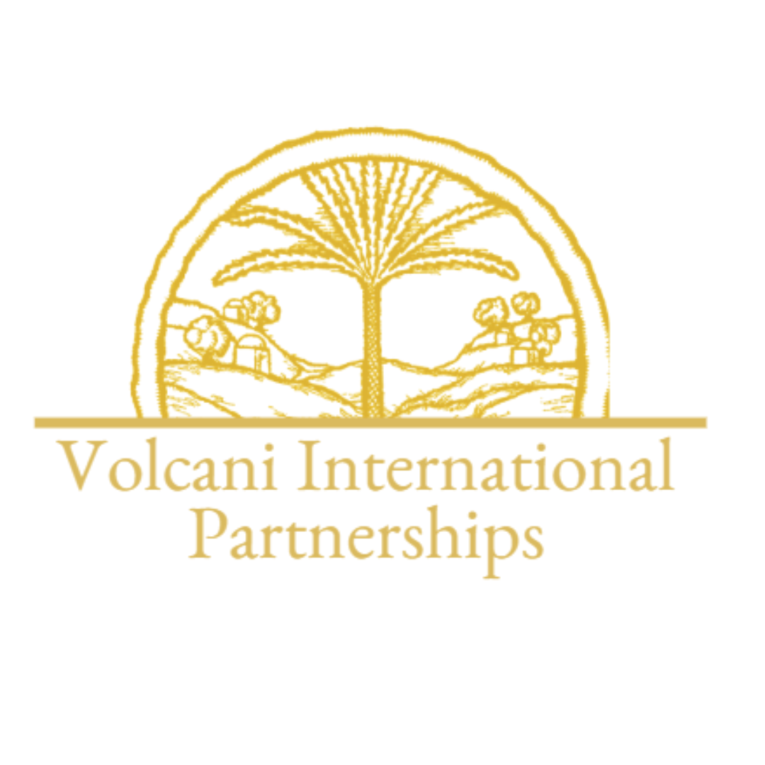 Volcani International Partnerships (VIP)